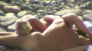 Cabeça negra lasciva ...
