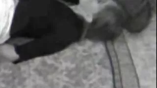 Garota com fome de p ...