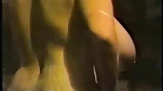 Esta sedutora sacana ...