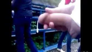 A gata japonesa com  ...