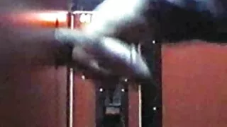 Duas cadelas excêntr ...