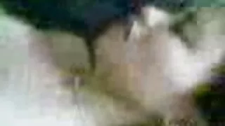 Gatas lésbicas gosto ...
