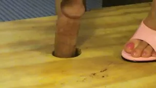 Duas cabeças negras  ...
