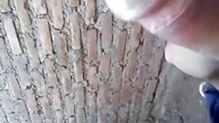 Vadia amadora comum  ...